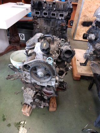 Despiece motores Iveco Daily