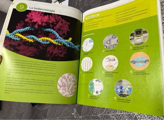 Biologia, 2 Batxillerat, Projecte Construint mons