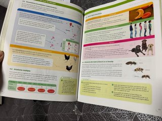 Biologia, 2 Batxillerat, Projecte Construint mons