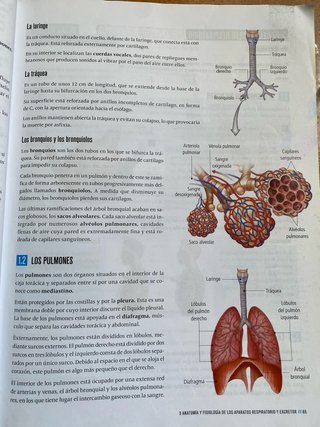 Biología y Geología 3, Secundaria, Fanfest Edel...
