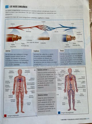 Biología y Geología 3, Secundaria, Fanfest Edel...