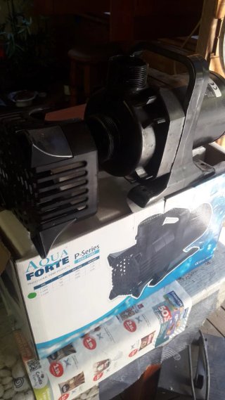 Bomba de agua