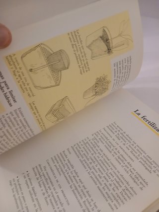 El Gran Libro de Las Plantas de Casa