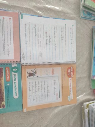 Lengua castellana y literatura 2 primaria. Revuela