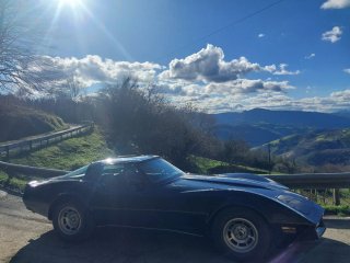 Chevrolet Corvette 1980