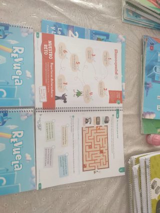 Lengua castellana y literatura 2 primaria revuela