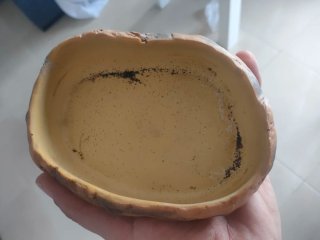 Terrario para Gecko u otro reptil
