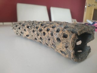 Terrario para Gecko u otro reptil