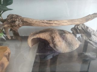 Terrario para Gecko u otro reptil
