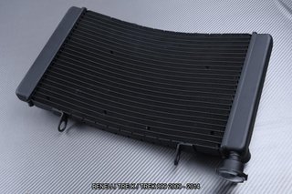 Radiador BENELLI TRE-K / TREK 899 2009 - 2014