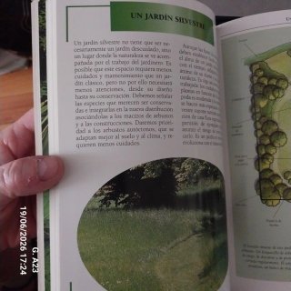 Diseño y Aprovechamiento de Jardines y Patios