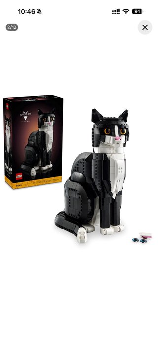 Lego Il Gatto Tuxedo 21349