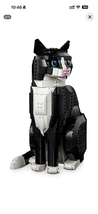 Lego Il Gatto Tuxedo 21349