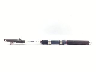 Caña de pescar Daiwa SW24T-AF telescópica