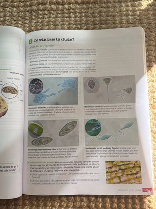 Biología y Geología : 1o ESO : Revuela