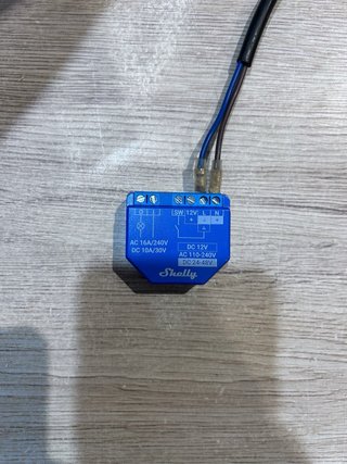 Shelly Plus 1 Conmutador WLAN paquete 4 unidades