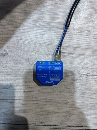 Shelly Plus 1 Conmutador WLAN paquete 4 unidades