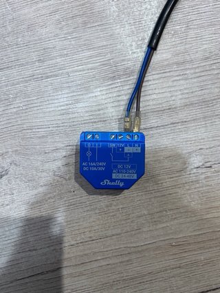 Shelly Plus 1 Conmutador WLAN paquete 4 unidades