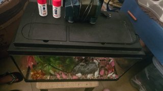 Acuario 60e