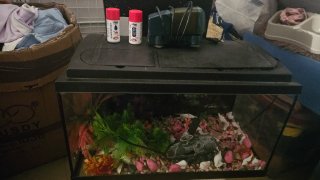 Acuario 60e