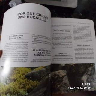 Flores y plantas de rocalla