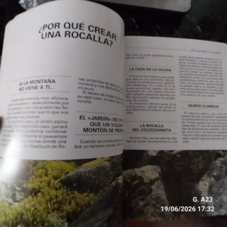 Flores y plantas de rocalla