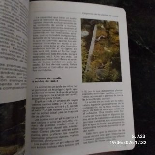 Flores y plantas de rocalla