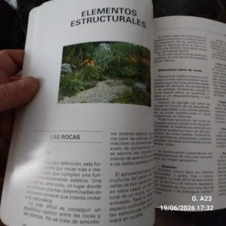 Flores y plantas de rocalla