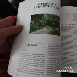 Flores y plantas de rocalla