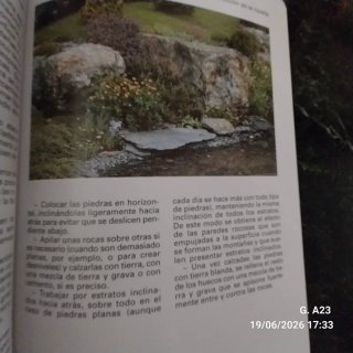 Flores y plantas de rocalla