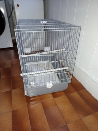 Jaula para pájaros gris y blanca