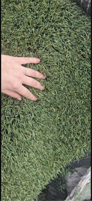 Erba Artificiale Riciclata Verde