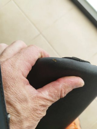 Asiento KTM 990