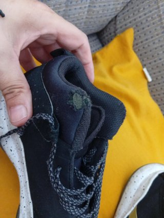 Lote zapatillas/pantalones
