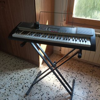 Teclado Casio LK-230 con soporte