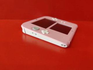 Nintendo 2DS Rosa