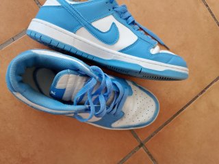 Zapatillas Nike Dunk Azul y Blanco