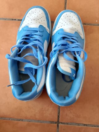 Zapatillas Nike Dunk Azul y Blanco