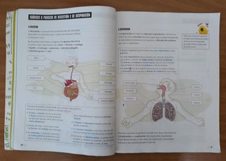 Ciencias da Natureza 4ºprimaria FanFest