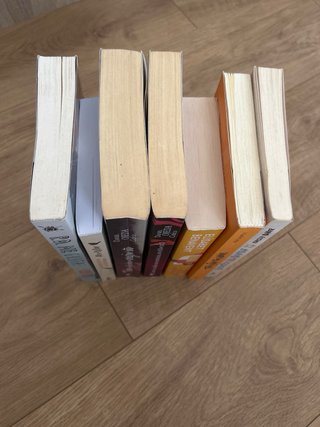 LOTE LIBROS