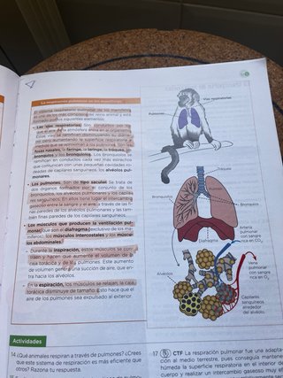 Libro de biología de 1 de bachillerato