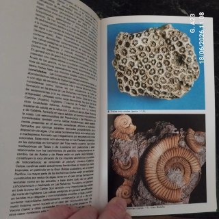Guía de minerales y rocas