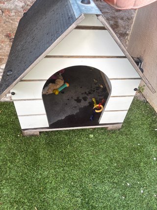 Caseta para perro de material perfecto exterior