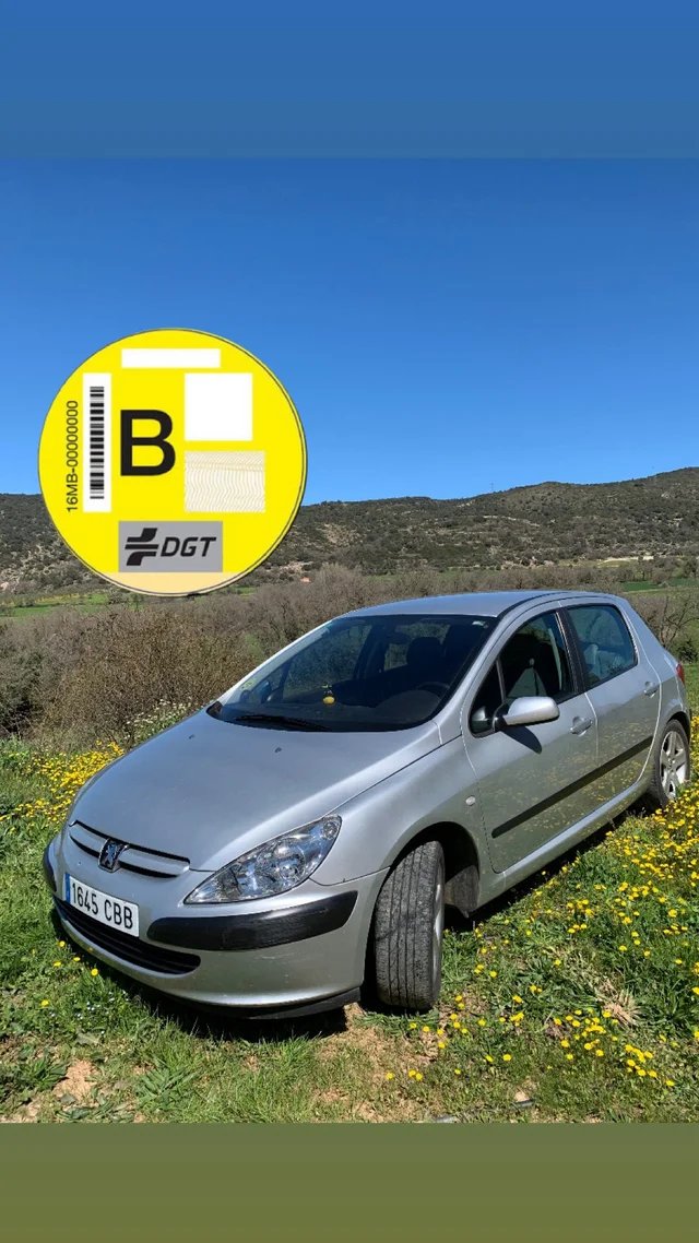 Peugeot 307 16v ETIQUETA B. - foto 1