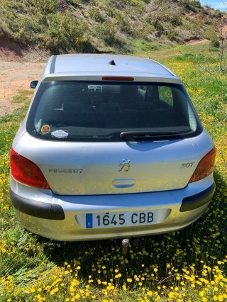 Peugeot 307 ETIQUETA B