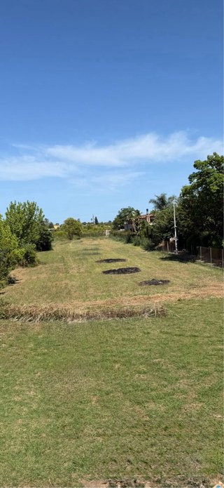 Jardinero Castellón