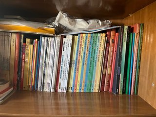 Diversidad de libros