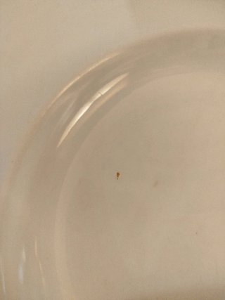 Coppia Piatti Ginori