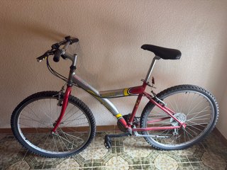 Bicicleta Gabike