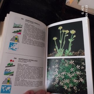 Guía de Flores de Montaña